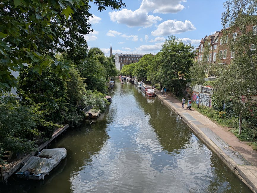 A wide view of the Hackney Wick area near Olympic Park in London showing a narrow canal surrounded by lush green trees on both sides. Parked cars line the pavement along the right bank, with a few ped
